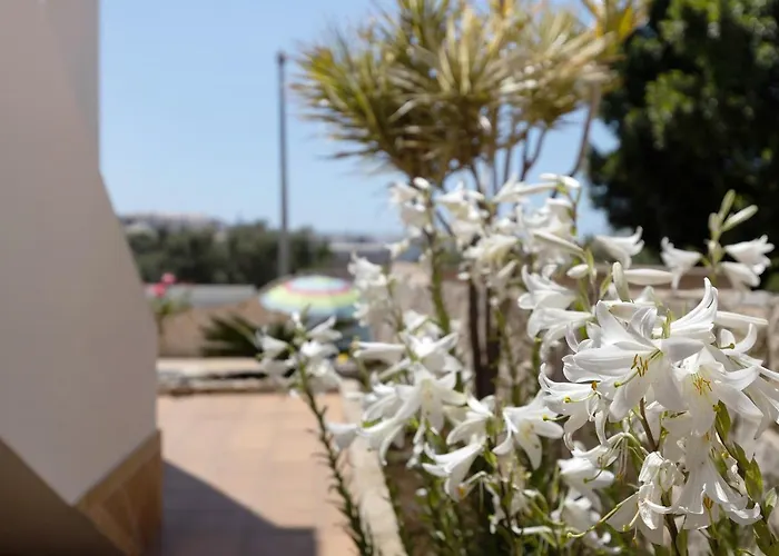 Casa Atlantico Nº3 ラゴス